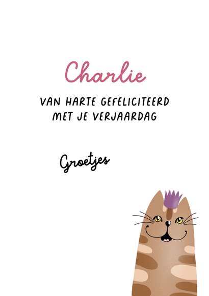 Verjaardagskaart - Feestende katten 3