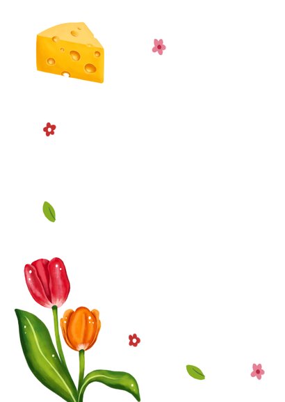 Verjaardagskaart felicitatie gezellig grappig nederland 2