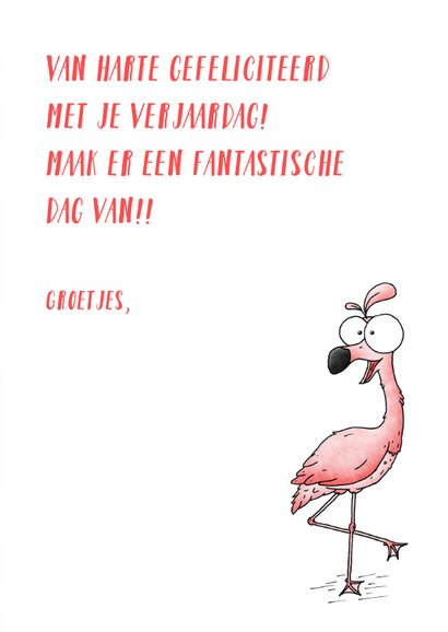 Verjaardagskaart flamingo - You flamingo girl! 3