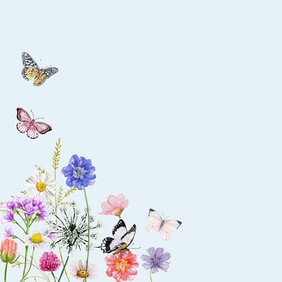 Verjaardagskaart gekleurde vlinders met veldbloemen 2