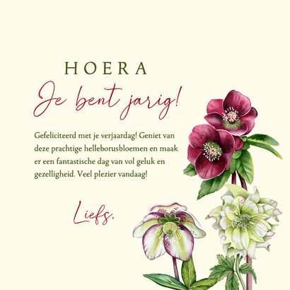 Verjaardagskaart helleborusbloemen 3