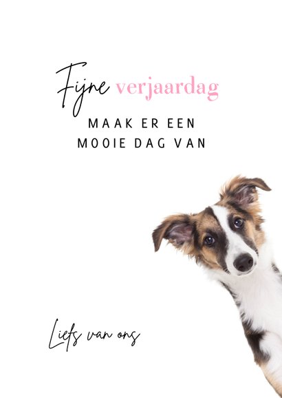 Verjaardagskaart - Hey jij daar gefeliciteerd - hond 3