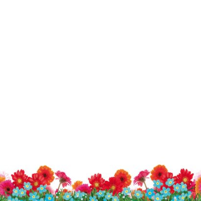verjaardagskaart hip paard blauw rood 2