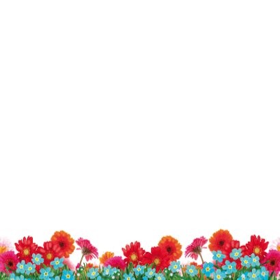 verjaardagskaart hip paard blauw rood 3