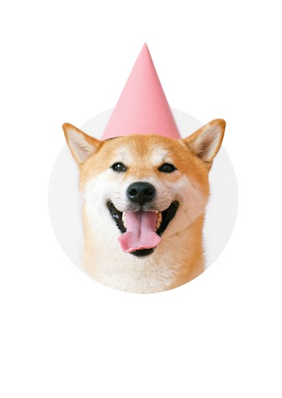 Verjaardagskaart hond met feesthoedje hiep hiep hoera 2