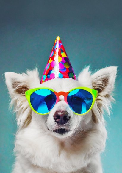 Verjaardagskaart hond met funky bril en hoedje humor 2
