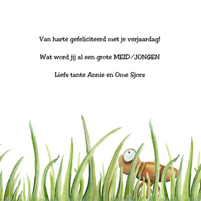 Verjaardagskaart joehoew sprinkhaan 3