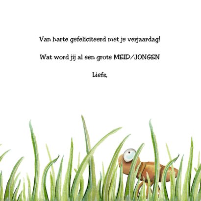 Verjaardagskaart joehoew sprinkhaan 3