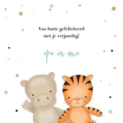Verjaardagskaart jongen safari dieren met confetti 3