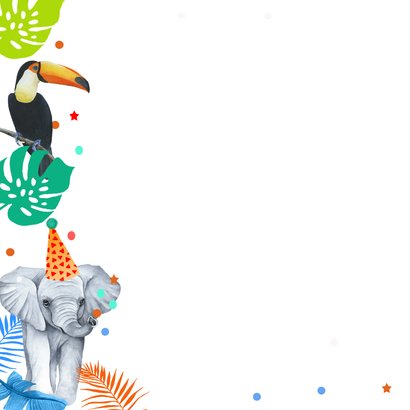 Verjaardagskaart jongetjes wilde dieren 2