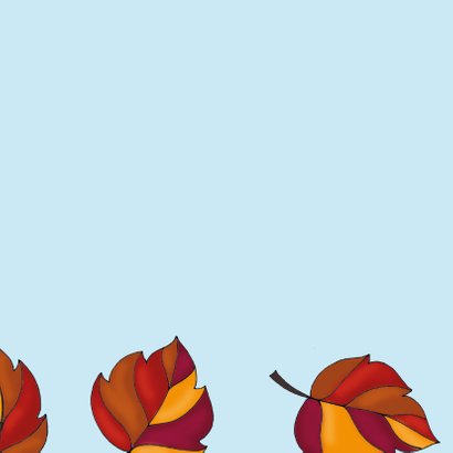 Verjaardagskaart Kat in de herfst - SK 3