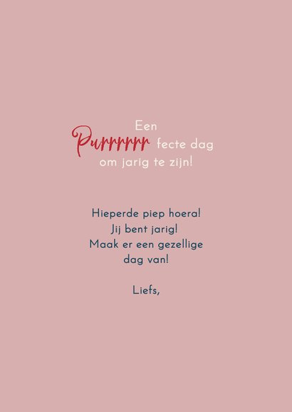 Verjaardagskaart kat in het raam in New York 3