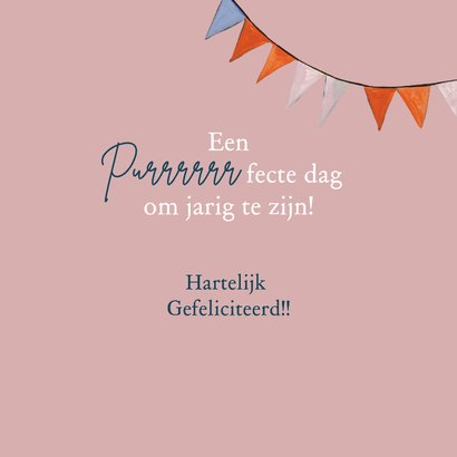 Verjaardagskaart kat voor het raam in New York 3