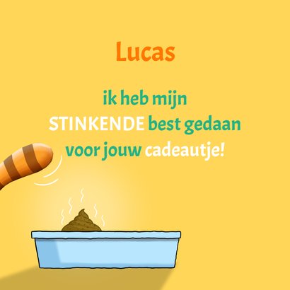 Verjaardagskaart kat zit op kattenbak: Yes, het is zover! 2
