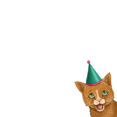 Verjaardagskaart katje met feesthoedje 3