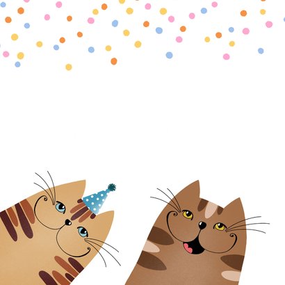 Verjaardagskaart katten in feeststemming 2