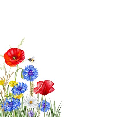 Verjaardagskaart klaprozen en veldbloemen 2