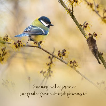 Verjaardagskaart koolmees op tak Hamamelis 2