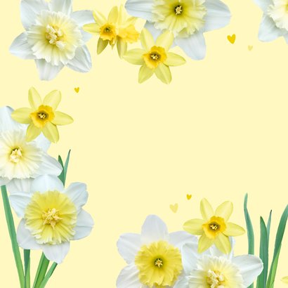 Verjaardagskaart lente narcissen 2