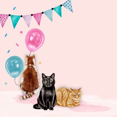 Verjaardagskaart leuke katten met ballonnen  2