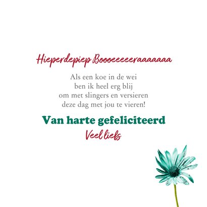 Verjaardagskaart loei goeie verjaardag 3
