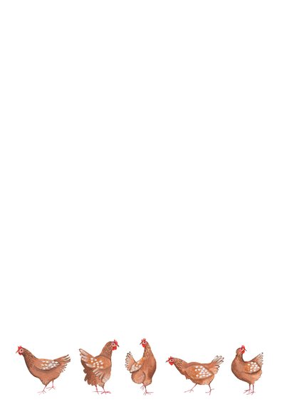 Verjaardagskaart man tuinieren moestuin hobby 3