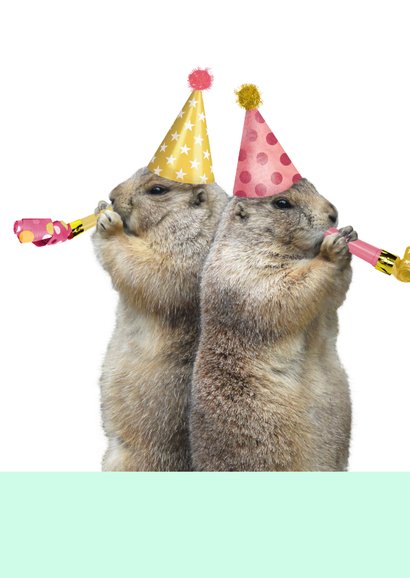 Verjaardagskaart marmot met feesthoedje en toeter 2