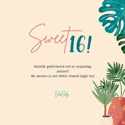 Verjaardagskaart meiden relaxed dagje sweet 16 3