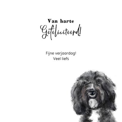 Verjaardagskaart met een tekening van een hond 3