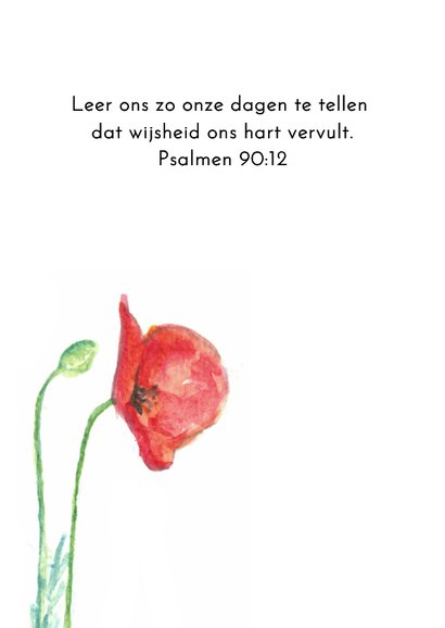 Verjaardagskaart met geschilderde klaproos 2