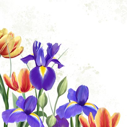 Verjaardagskaart met irissen en tulpen 2