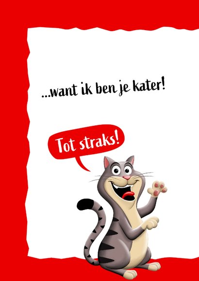 Verjaardagskaart met kater 2