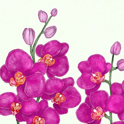 Verjaardagskaart met paarse orchideeën 2