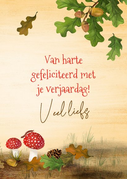 Verjaardagskaart met paddestoelen en bosdieren 3