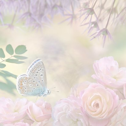 Verjaardagskaart met rozen en vlinder 2