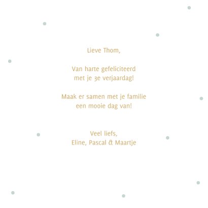 Verjaardagskaart nijlpaardje met mint cirkel en confetti 3