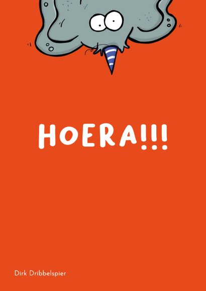 Verjaardagskaart olifant 'age is irrelephant elephant' 2