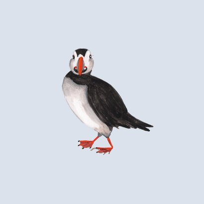 Verjaardagskaart papegaaiduiker aan zee 2