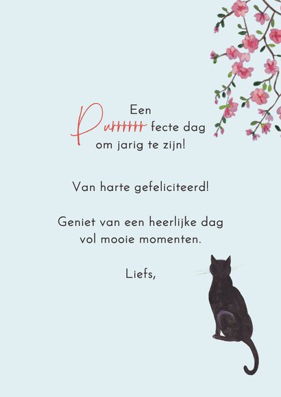 Verjaardagskaart Parijs balkon kat ontbijt illustratie sfeer 3