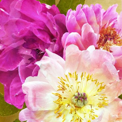 Verjaardagskaart pioenrozen boeket roze 2