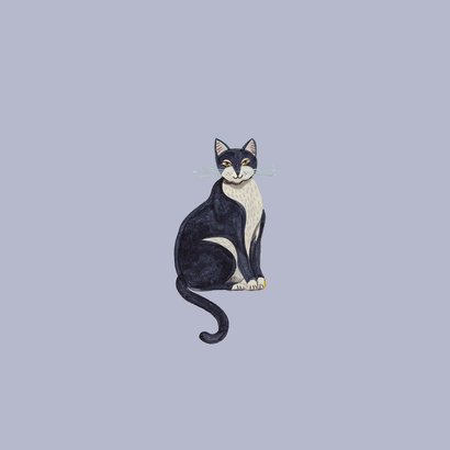 Verjaardagskaart poes in het raam in Parijs 2