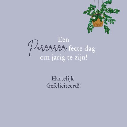 Verjaardagskaart poes in het raam in Parijs 3