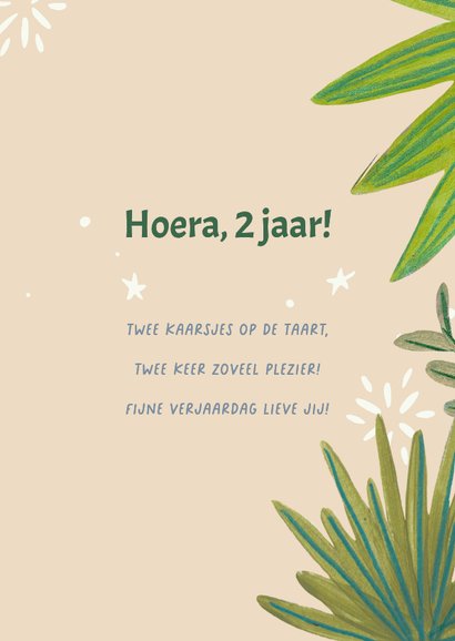 Verjaardagskaart poes met feesthoedje 2 jaar 3