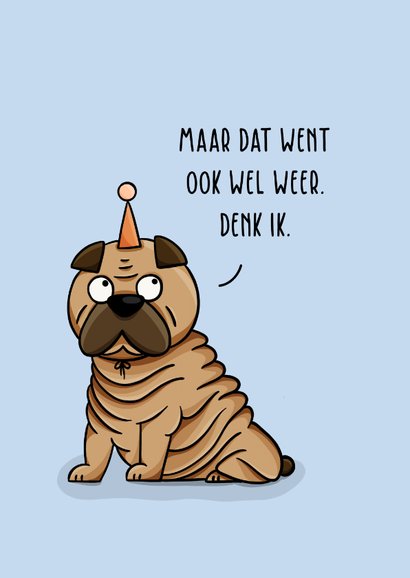 Verjaardagskaart rimpelhond met hoedje grappig 2