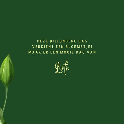 Verjaardagskaart rood-gele tulpen 3