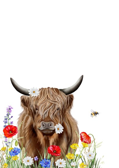 Verjaardagskaart Schotse hooglander met veldbloemen 2