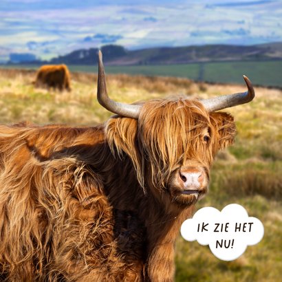 Verjaardagskaart Schotse hooglander 2