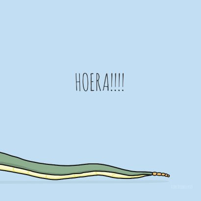 Verjaardagskaart SSSsssuprise! 2