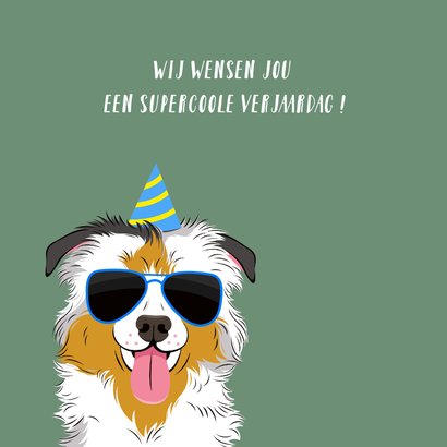 Verjaardagskaart stoere hond met feesthoed 2