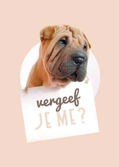 Verjaardagskaart te laat hond met bordje 2